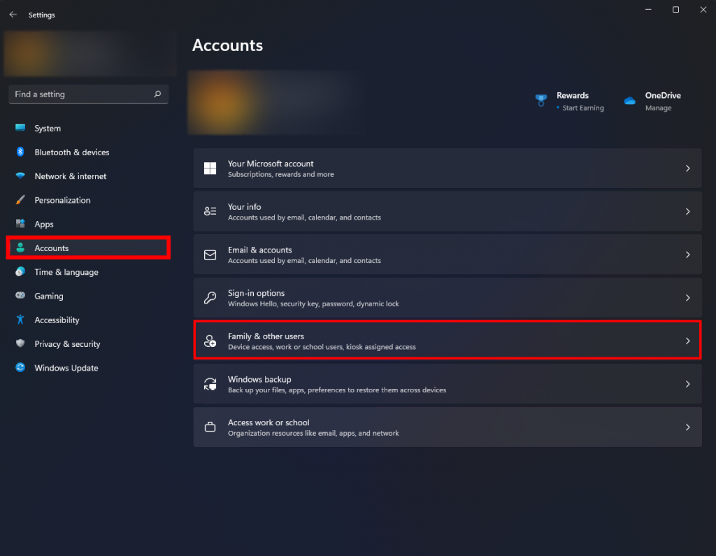 windows 11 accounts settings